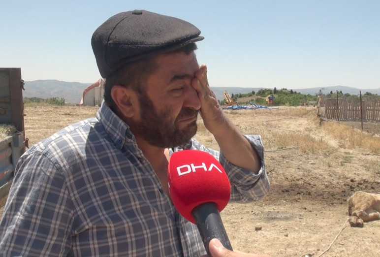 9 buzağı mangal kömürü üretim tesisinden yayılan dumandan öldü - Resim : 2