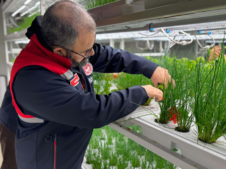 İstanbul’da yerin 30 metre altında çilek üretimi başlıyor - Resim : 1