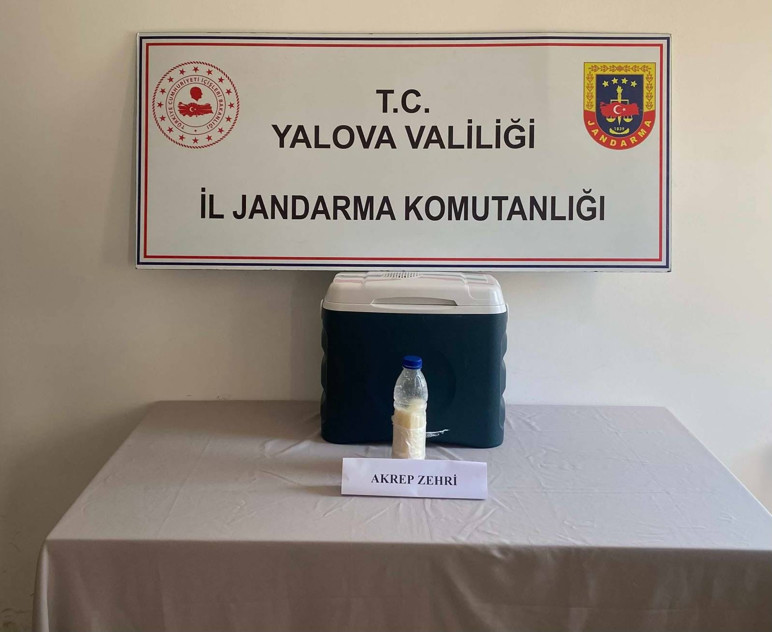 Bu şişenin değeri 5 milyon dolar! Suriye'den yasa dışı yollarla Türkiye'ye getirildi - Resim : 1