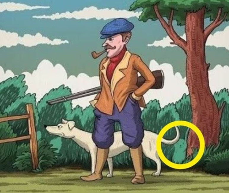 Resimde gizli tavşanı bulmak için gerçek bir dahi olmanız gerekiyor - Resim : 5