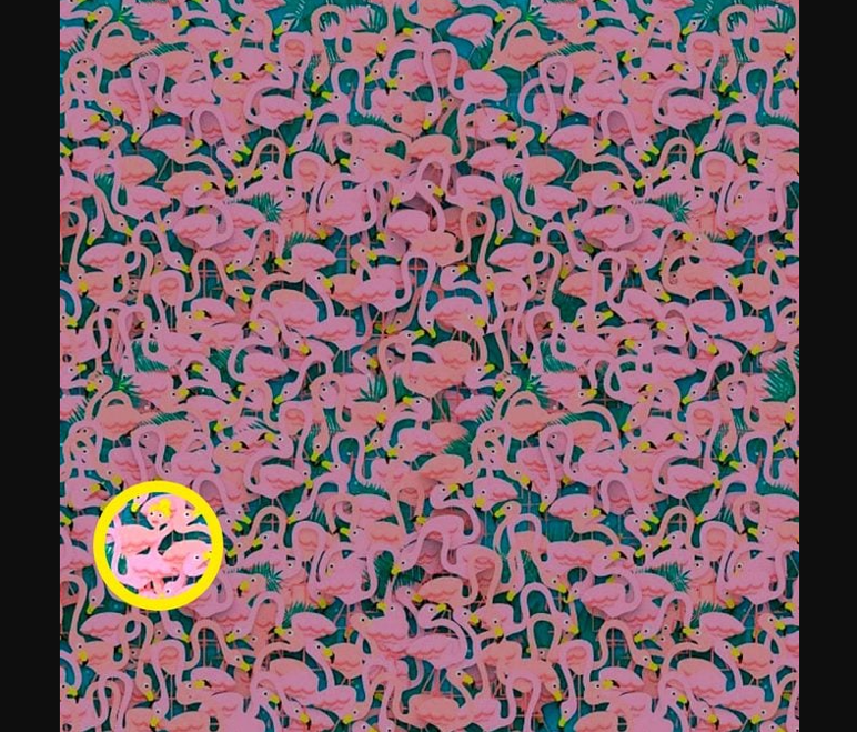 Her 120 kişiden sadece 3'ü çözebildi! Resimde saklı balerini sadece gerçek dahiler 5 saniyede buluyor - Resim : 5