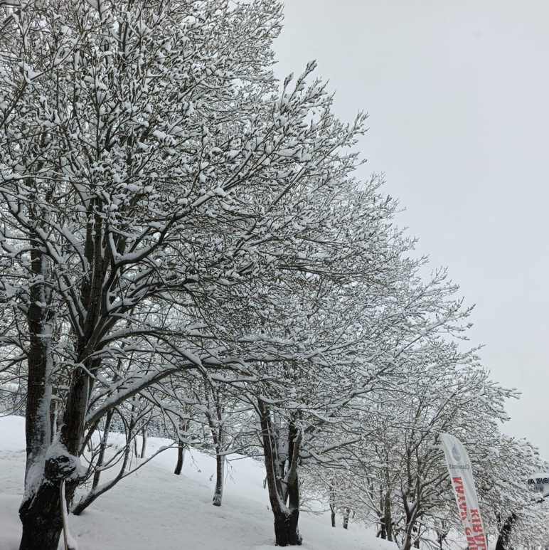 Kış bitmiyor... 23 Nisan'da kar kalınlığı 1 metreye ulaştı - Resim : 2