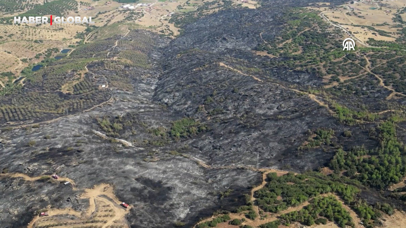 Manisa'da orman yangınında zarar gören alanlar havadan görüntülendi
