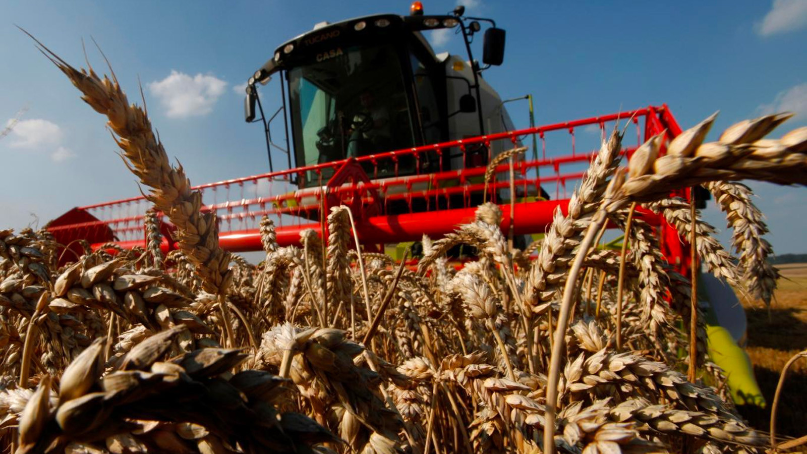 Seçim sonrası ne olacak? Emtia ve tarım uyarısı!