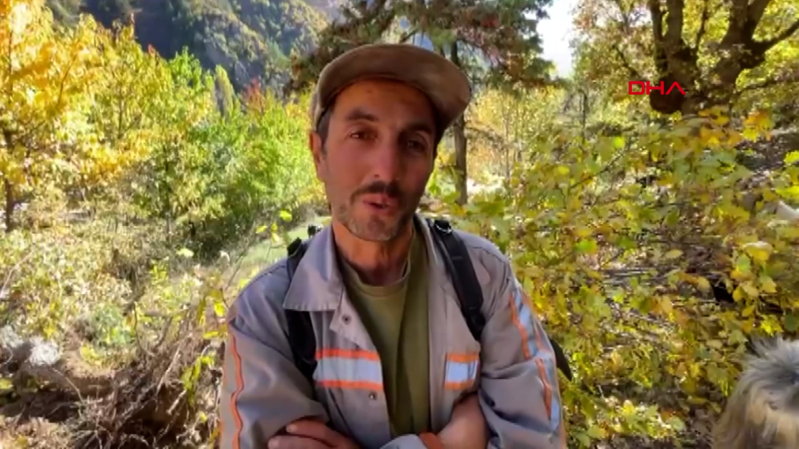 Muhtarlığı bıraktı kendini doğaya adadı: Artvinli eski muhtar çoban oldu