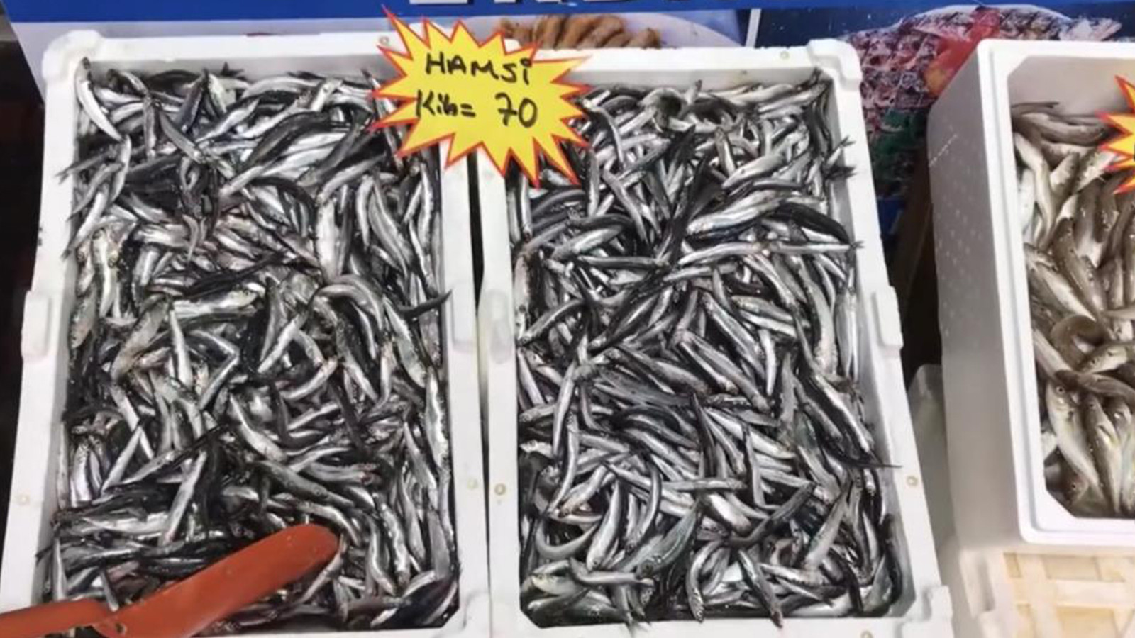 Tüketicilere balık uyarısı: Kesinlikle önermiyoruz!