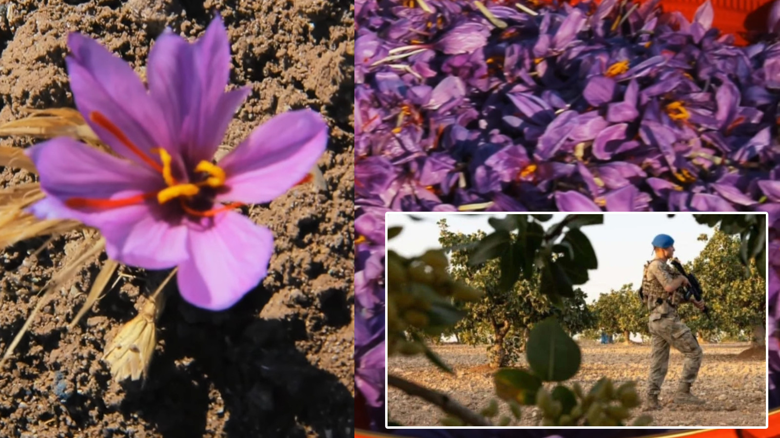 3 kilosuna ev alınıyor: Çorum askerler tarlada nöbet tutuyor