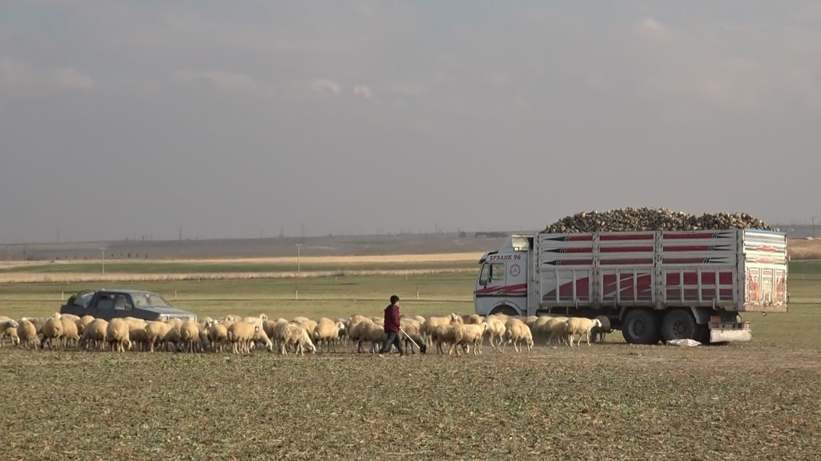 Konya'dan sonra Aksaray'da da ortaya çıktı! Bölge halkı korku içinde yaşıyor