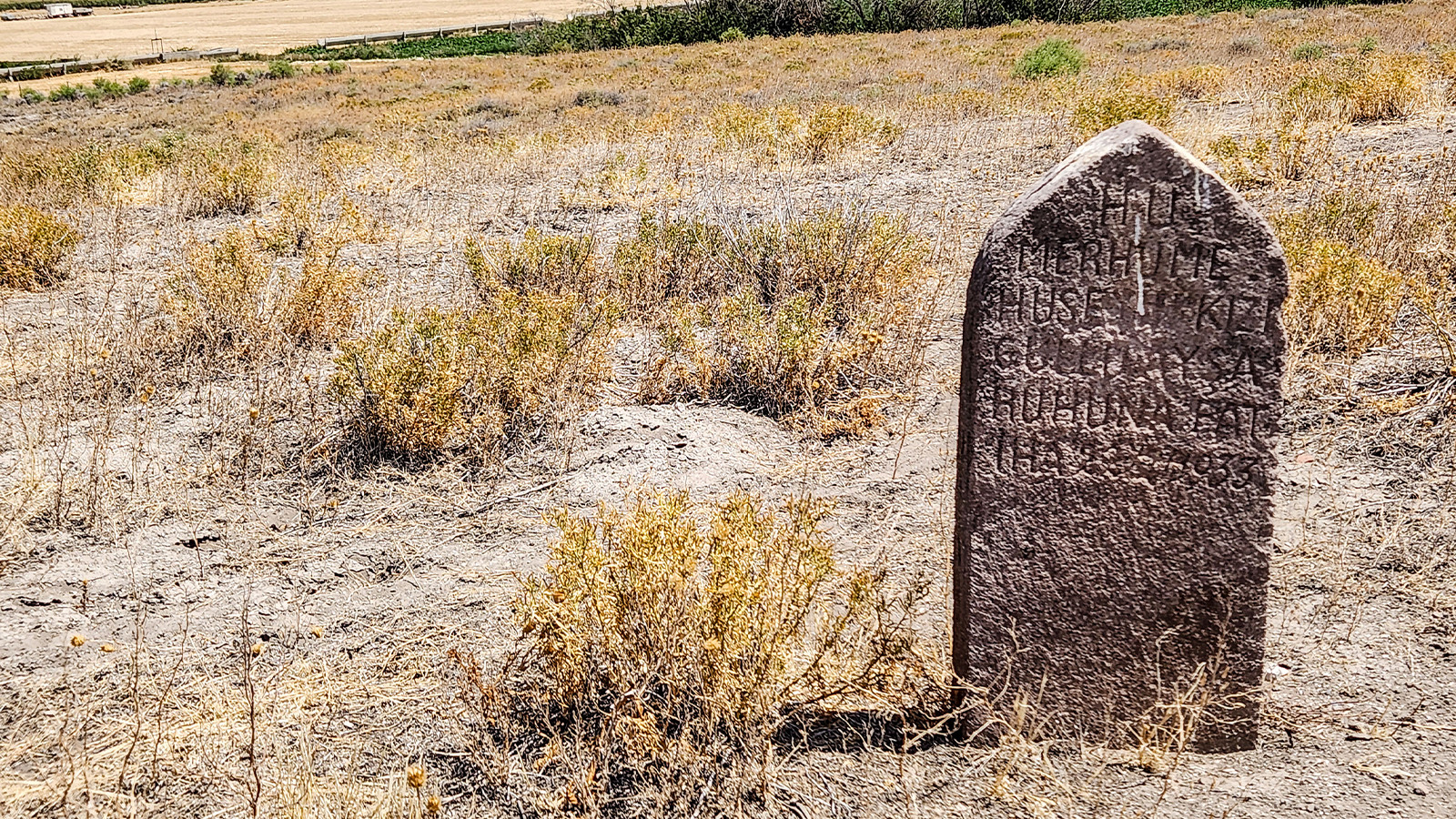 Acı hikayeyi Danimarkalı biyoarkeolog ortaya çıkardı! Zina ile suçlanan Güllü Ayşa Çatalhöyük'teki en eski ölüler topluluğuna katıldı