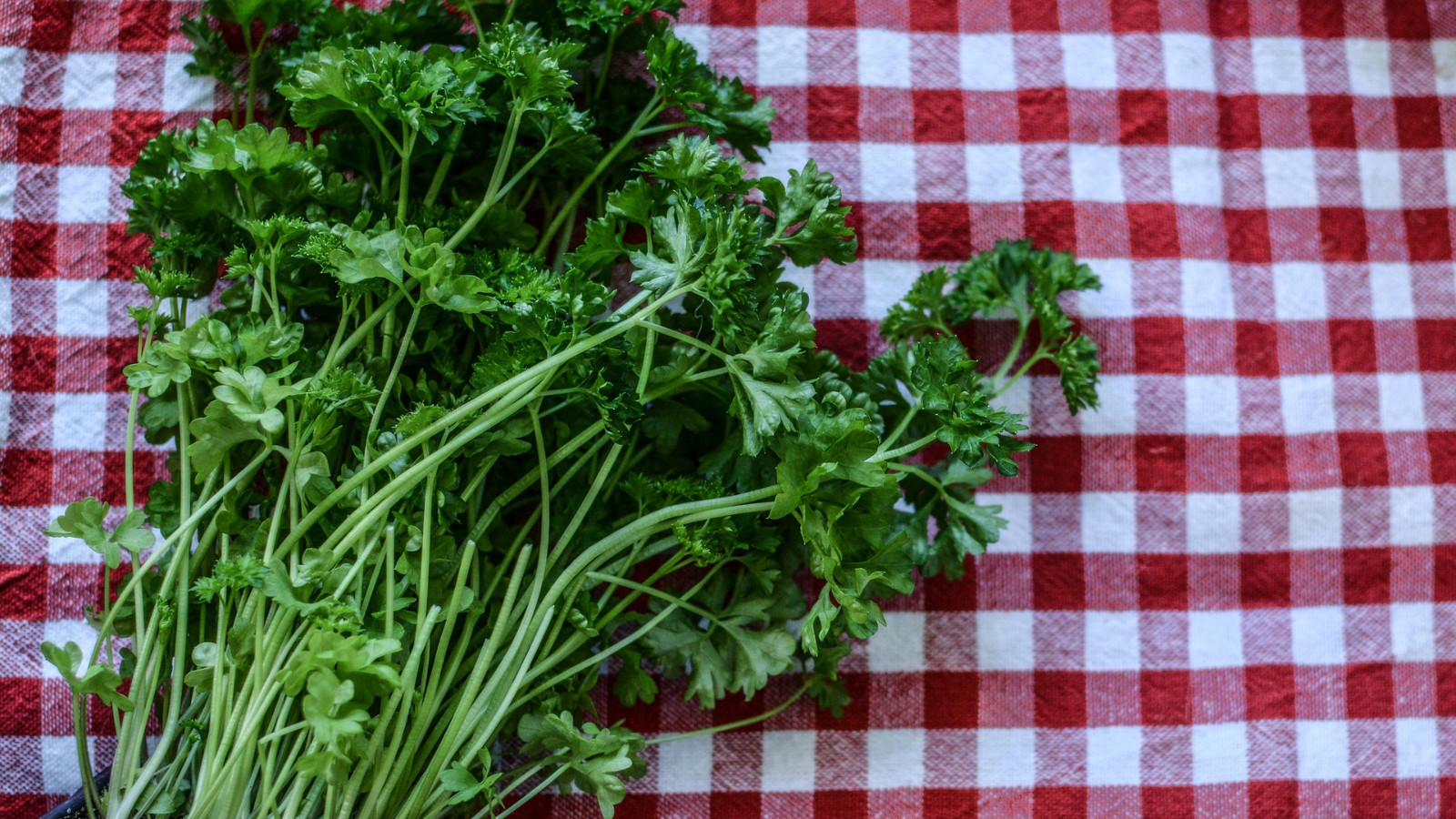 Paranızın çöpe gitmesini önleyen yöntem! Maydanozları böyle saklayınca haftalar boyunca bozulmuyormuş