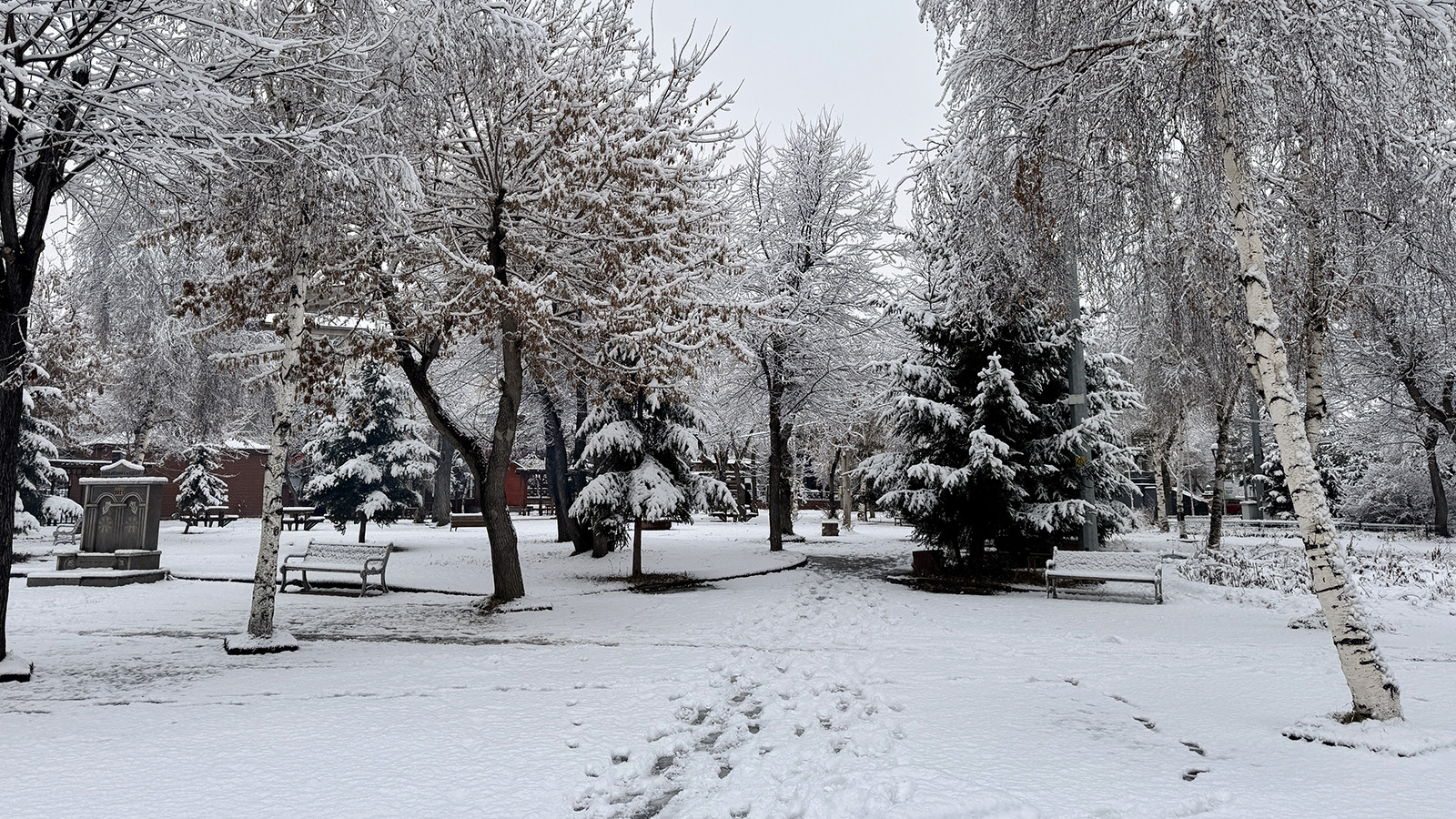 Kar yağışı başladı; o iller kara kışa teslim oldu!