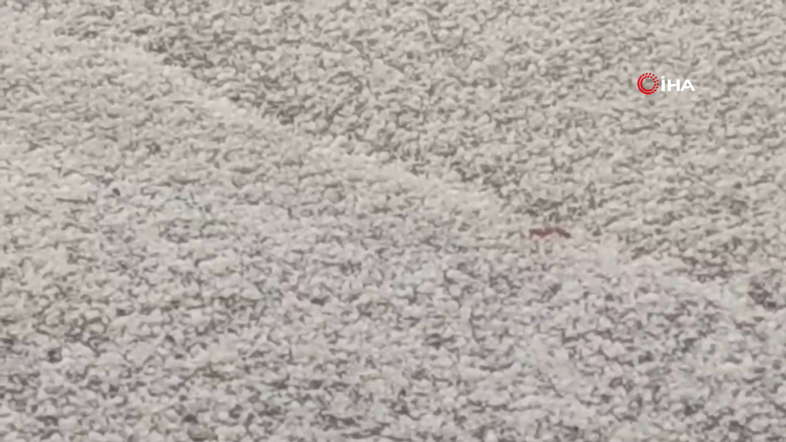 Van'da dolu yağışı şehri beyaza bürüdü