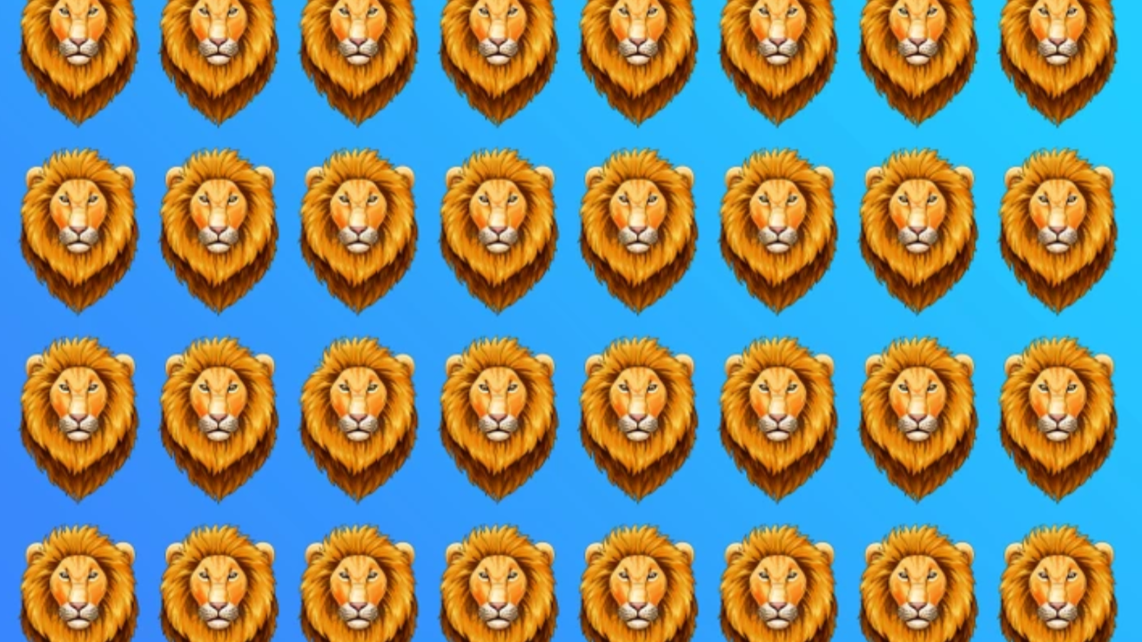 Aslan terbiyecilerinin çekindiği o test! Resimdeki farklı aslanı sadece gerçek dahiler 6 saniyede buluyor