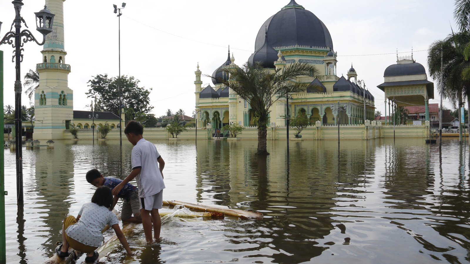 4 ülke aynı felaketi yaşıyor: Yüzlerce ölü var!