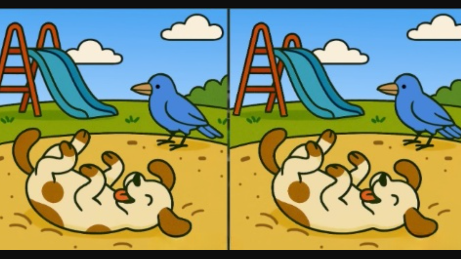 Kum havuzunda kendi başına oynayan iki köpek arasındaki 3 farkı sadece gerçek dahiler 14 saniyede buluyor