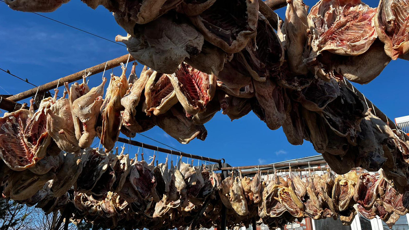 Lezzeti gece ayazından geliyor! Kars kazının sofralara ulaşma serüveni başladı
