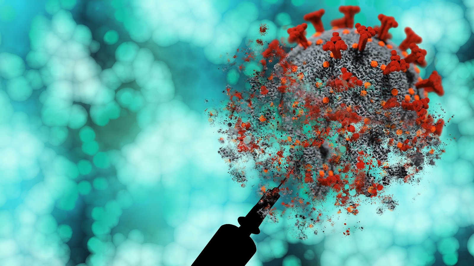 Maymun çiçeği virüsünün yeni bir varyantı tespit edildi