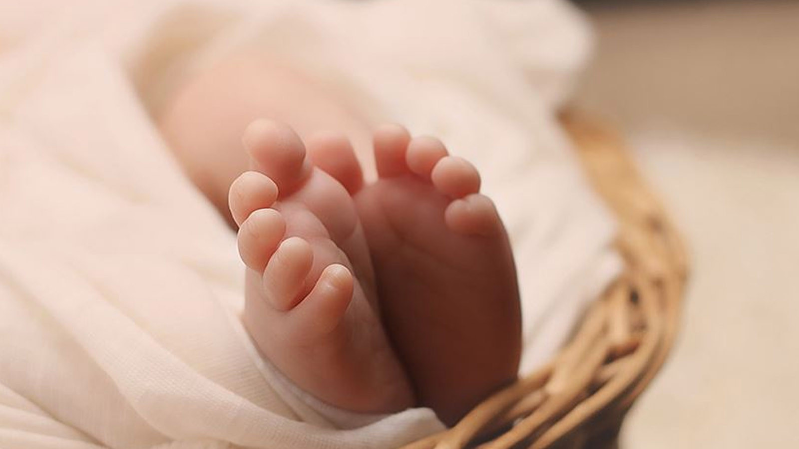 Türkiye'de doğurganlık krizi: 11 yıldır aralıksız düşüyor