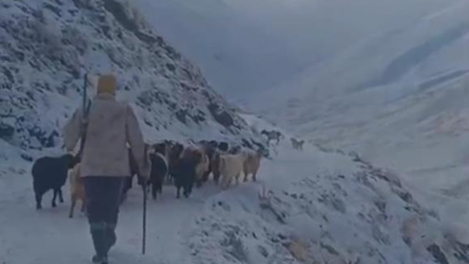 Eleşkirt'te hayat durdu; kar ve tipiye yakalandılar