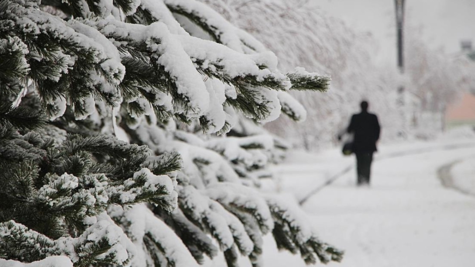Meteoroloji uyardı: 11 Aralık 2025’te bu şehirlere lapa lapa kar yağacak!