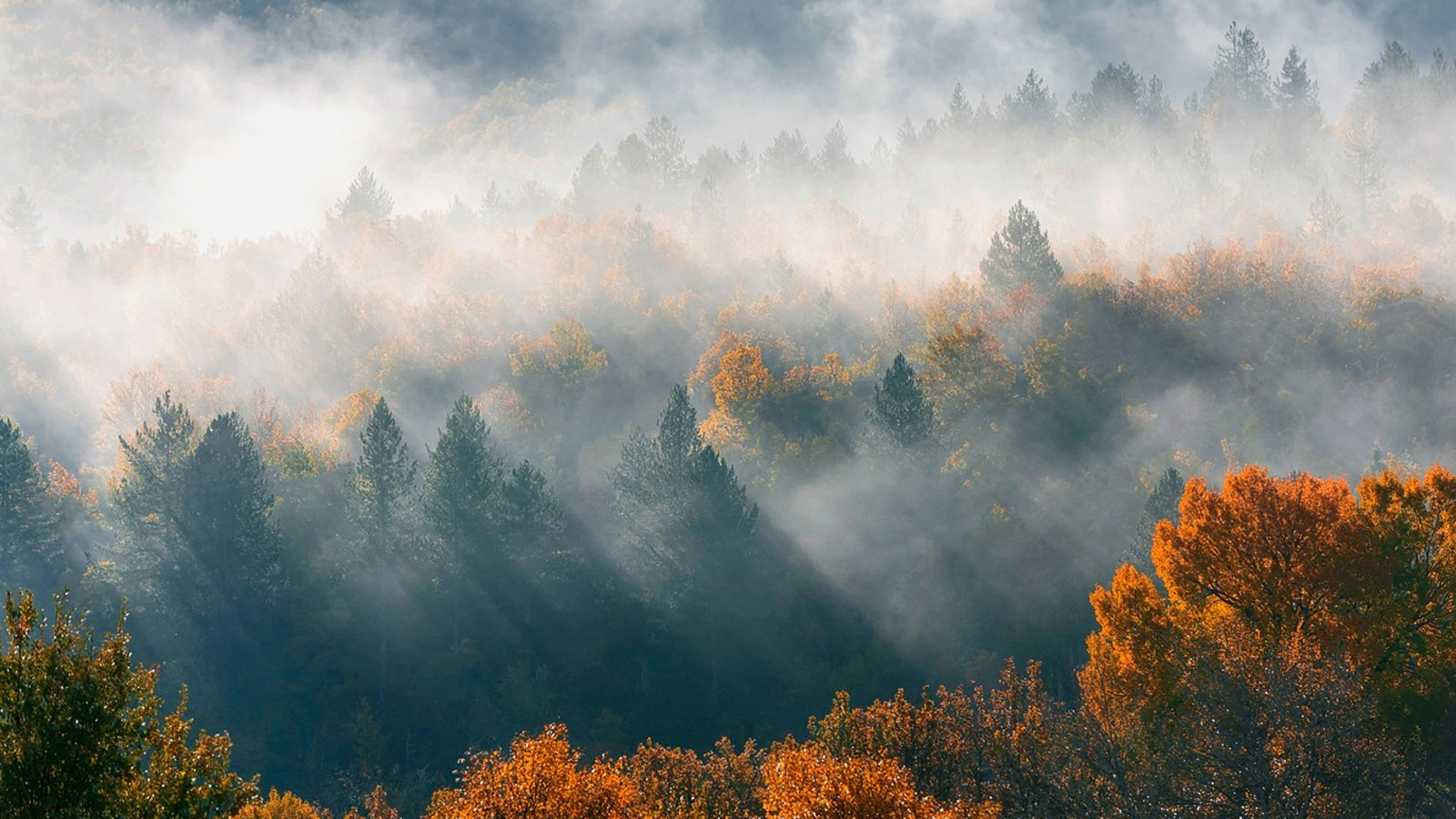 Meteoroloji'den o şehirlerimiz için sis ve pus uyarısı!