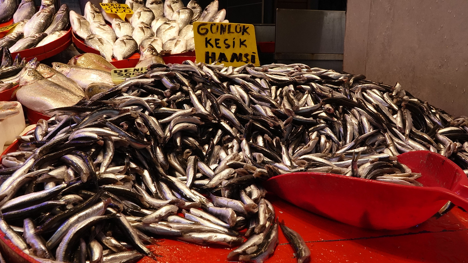Tezgahlarda balık bolluğu! Kilosu 100 liraya kadar düştü