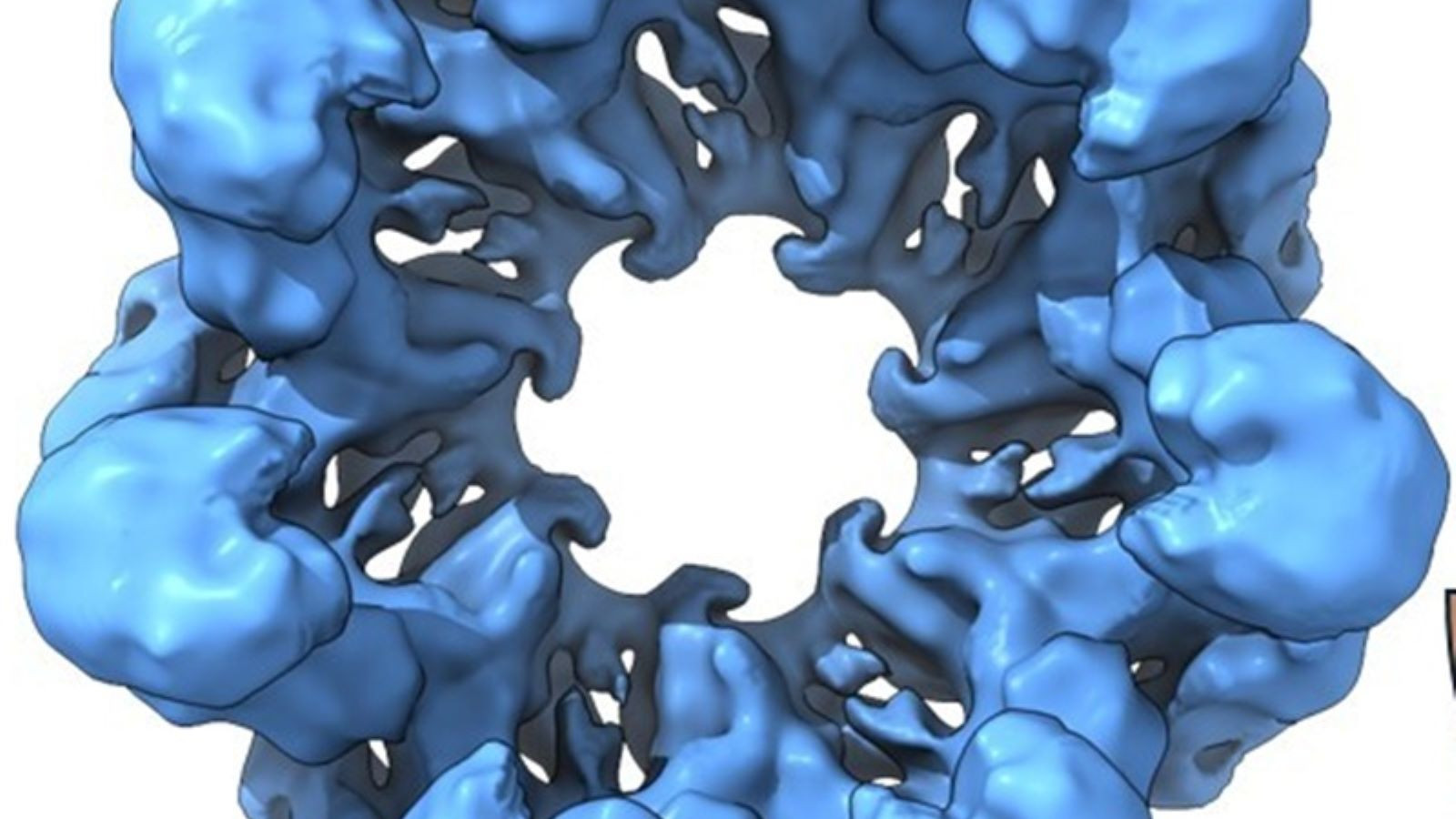 İspanyol bilim insanları 4 milyar yıllık proteinleri laboratuvar ortamında canlandırdı