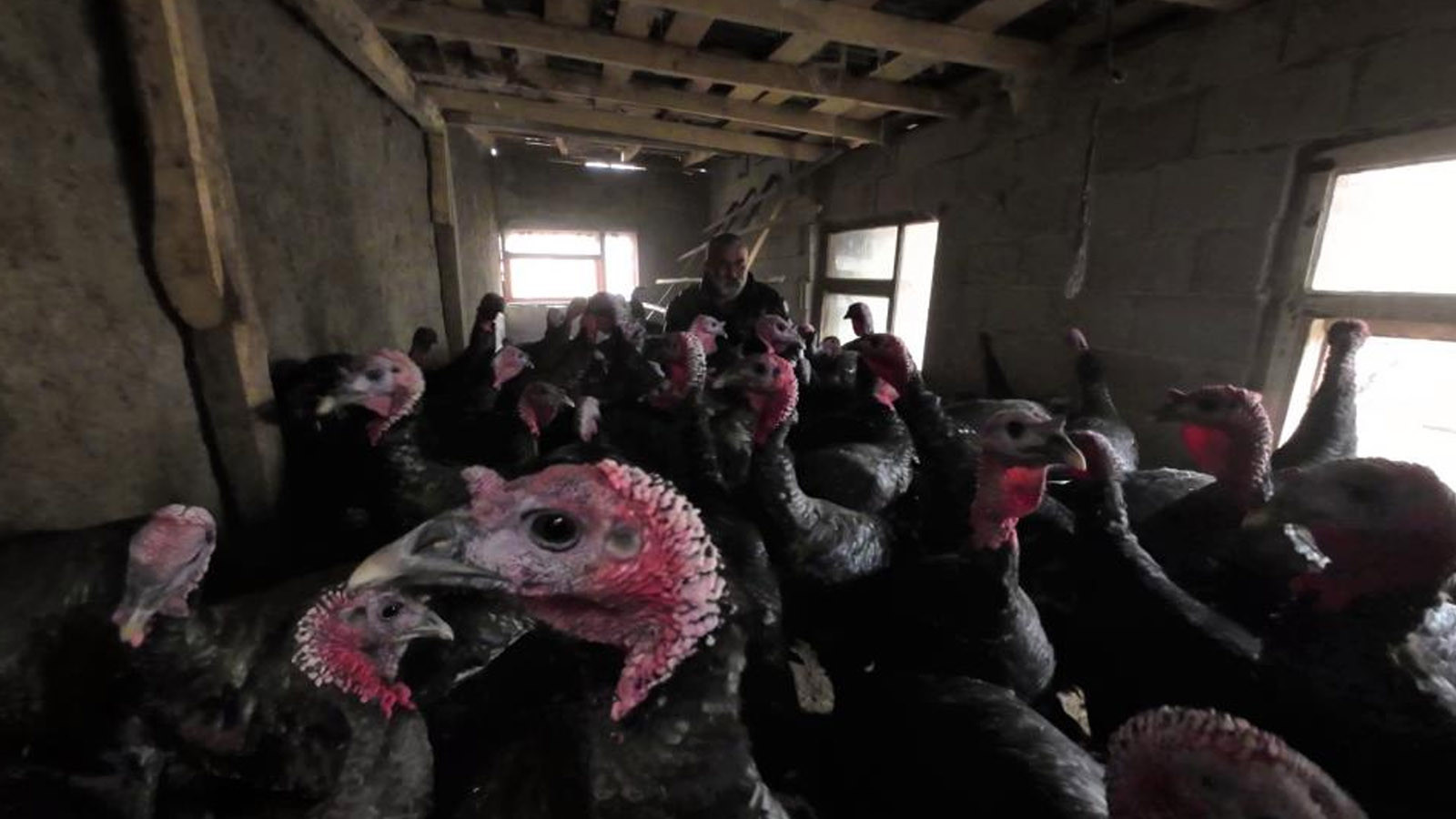 İstanbul’u bıraktı, Yozgat’ta kendi işinin patronu oldu! Paraya para demiyor