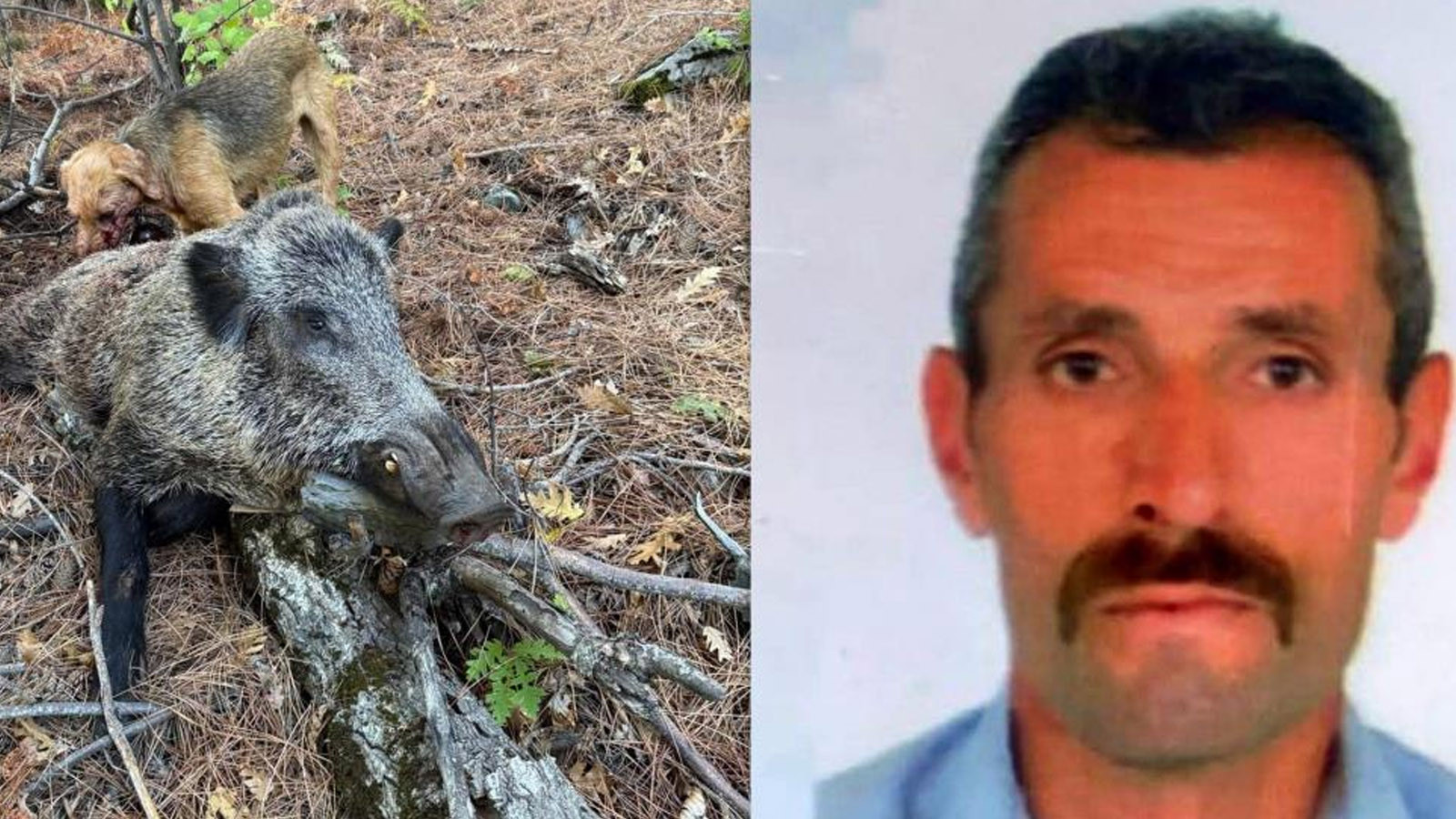 Domuz saldırısına uğrayan avcı öldü