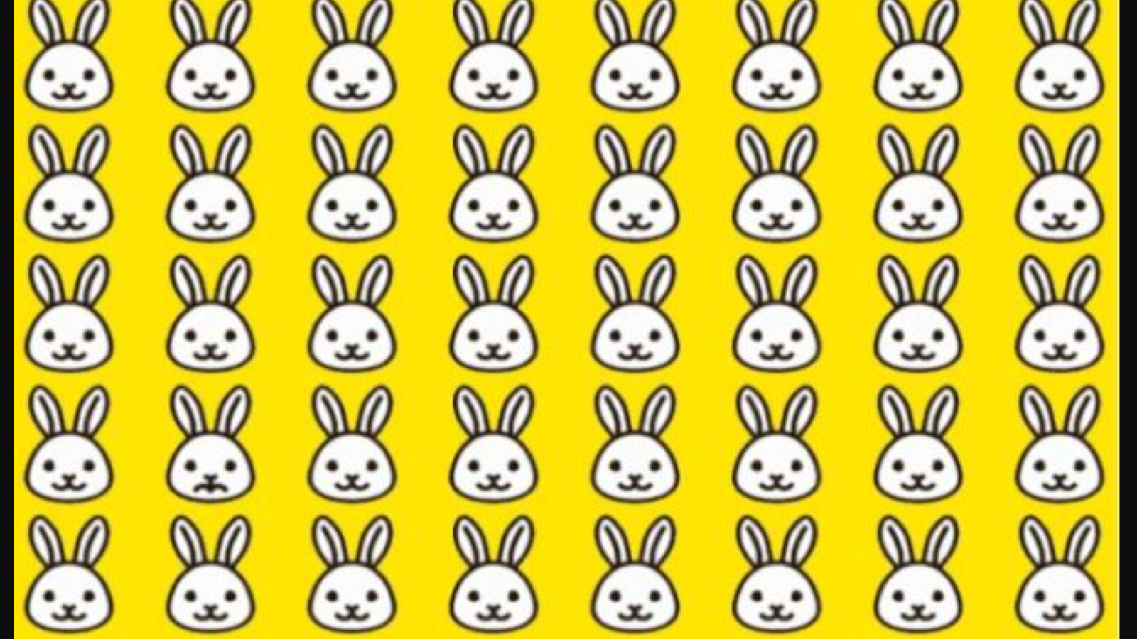 Dürbünle baksanız da bulmak imkansız! Resimdeki farklı tavşanı 6 saniyede bulanlar gerçek dahi sayılıyor