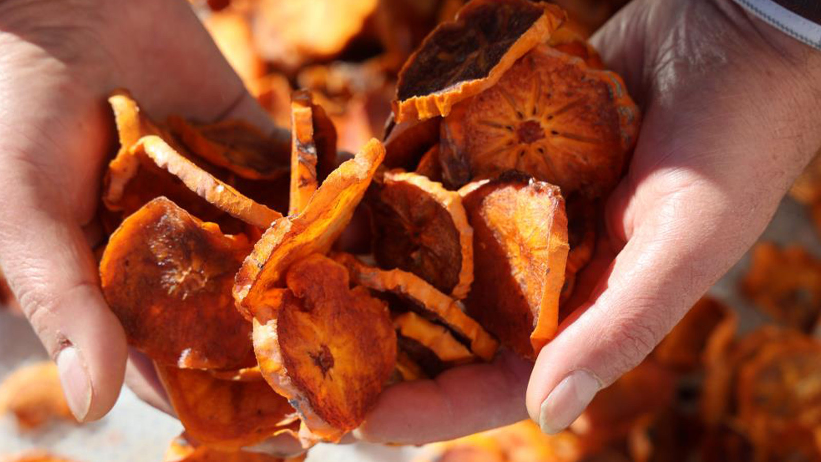 Bahçede 40 TL, kurutulunca 16 katı fiyatına satılıyor! İlk ihracat Almanya'ya yapıldı