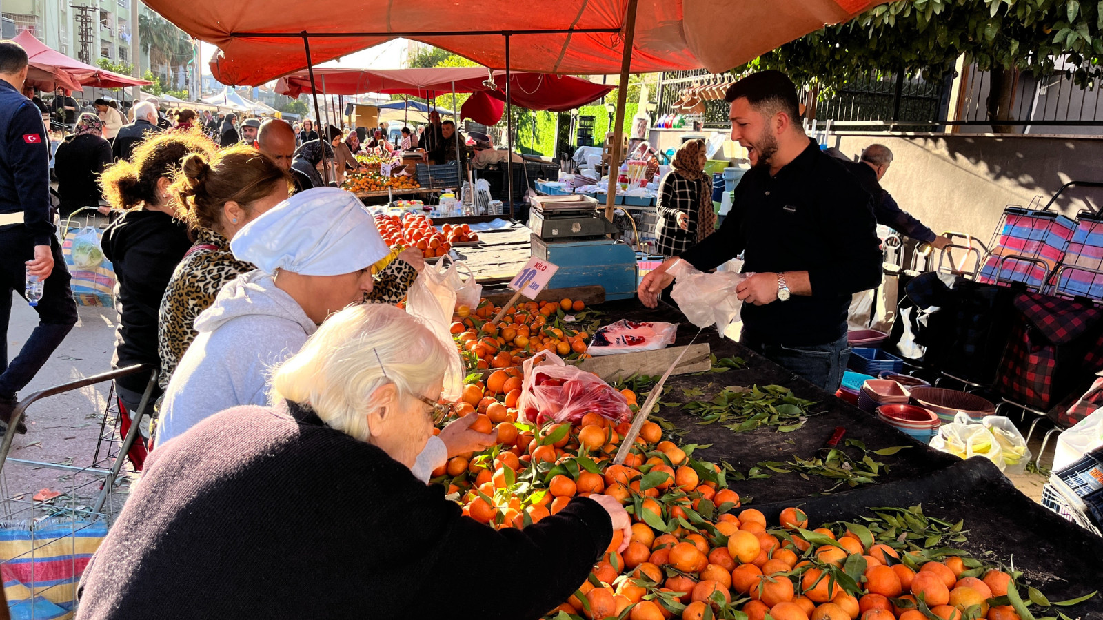 Pazarın en ucuz meyvesi oldu: Kilosu 5 liraya kadar düştü