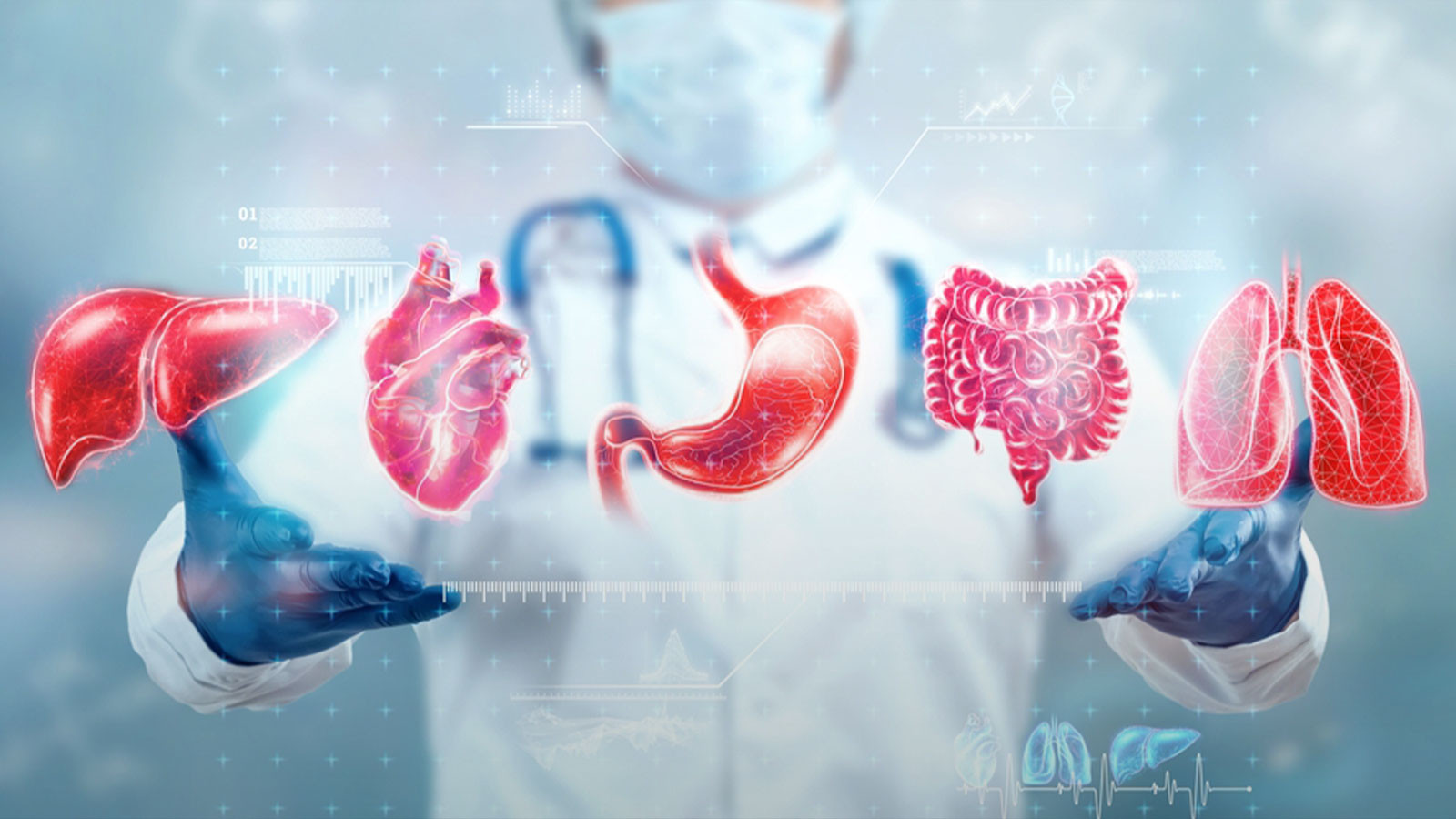 Sağlığınız organlarınızın yaşında gizli