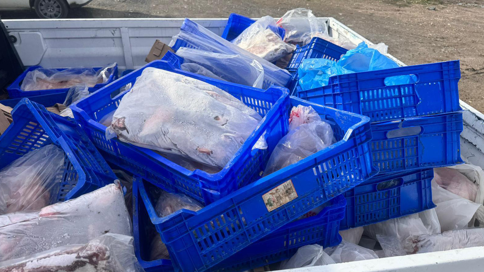 Sultangazi'de 300 kilogram kırmızı ve beyaz et imha edildi