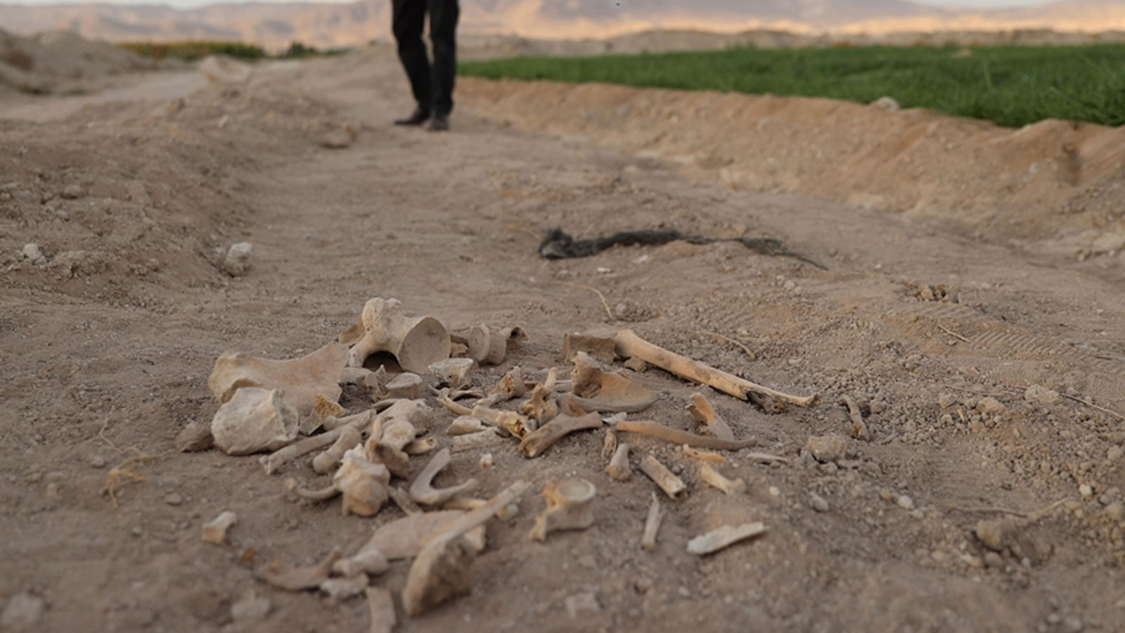 Suriye'de eski bir güvenlik merkezinde toplu mezar bulundu