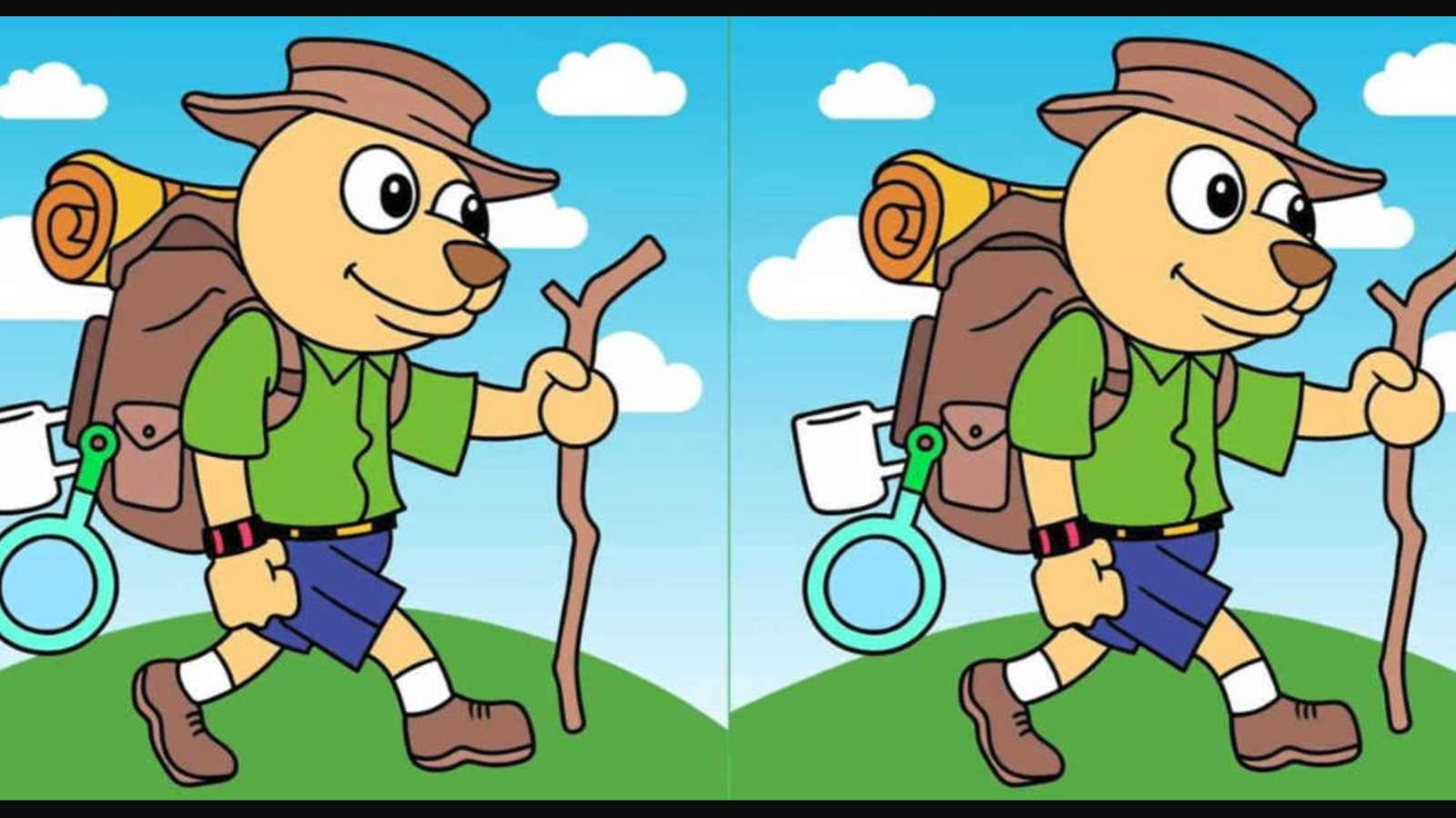 Doğada yürüyüş yapmaya çıkan iki köpek arasındaki 3 farkı sadece yüksek IQ'su olanlar 12 saniyede buluyor