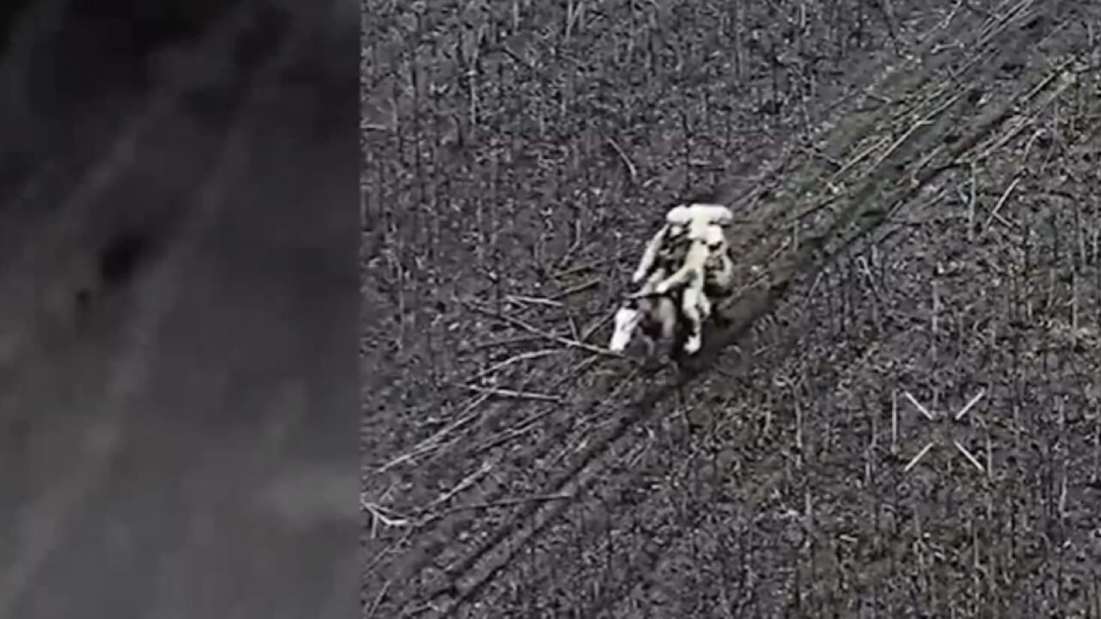 1955'ten bu yana bir ilk: Ukrayna dronları 'atlı Rus askerleri'ni tespit etti