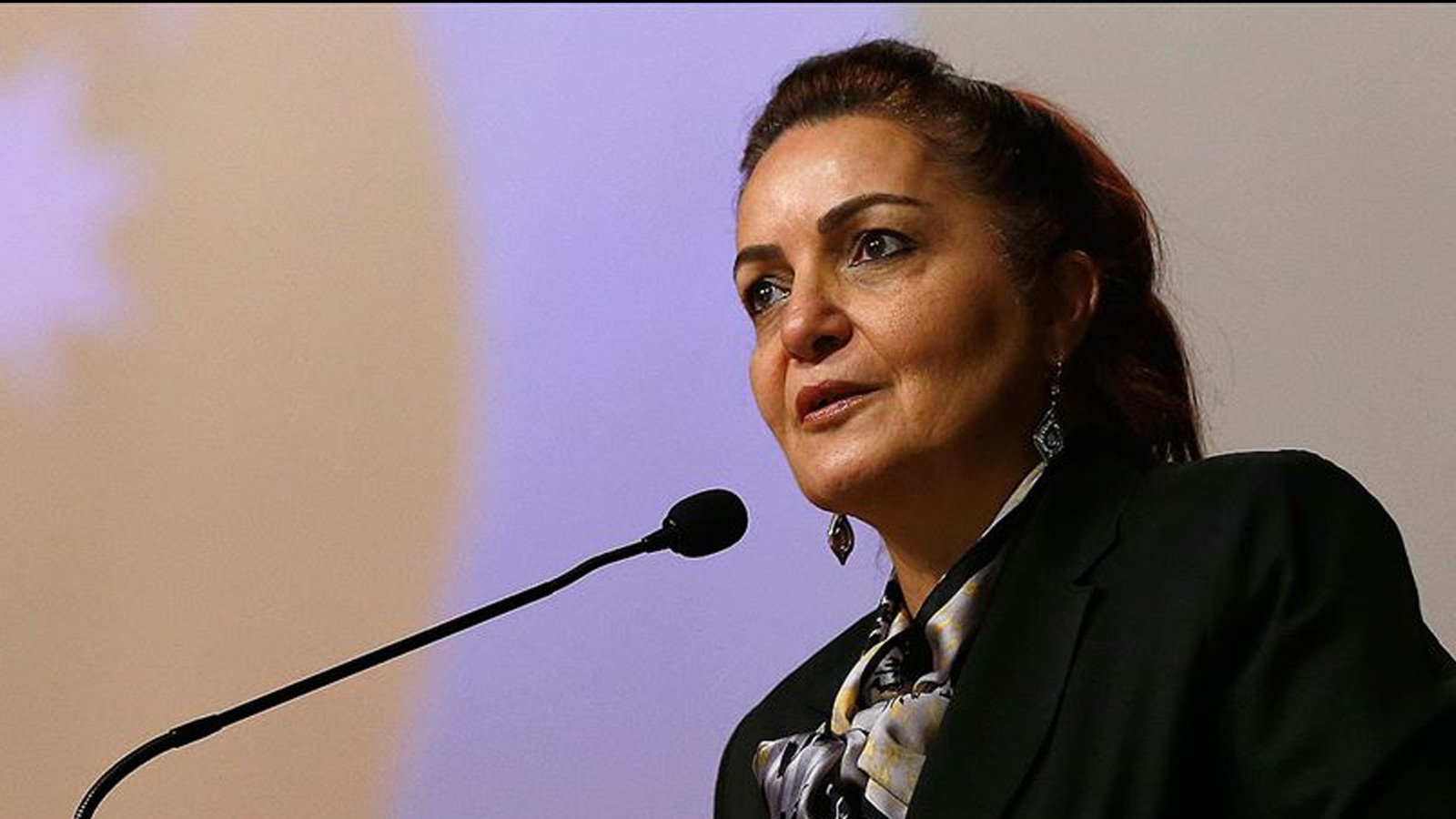 Prof. Dr. Attar'dan İlham Aliyev’e doğum günü mesajı