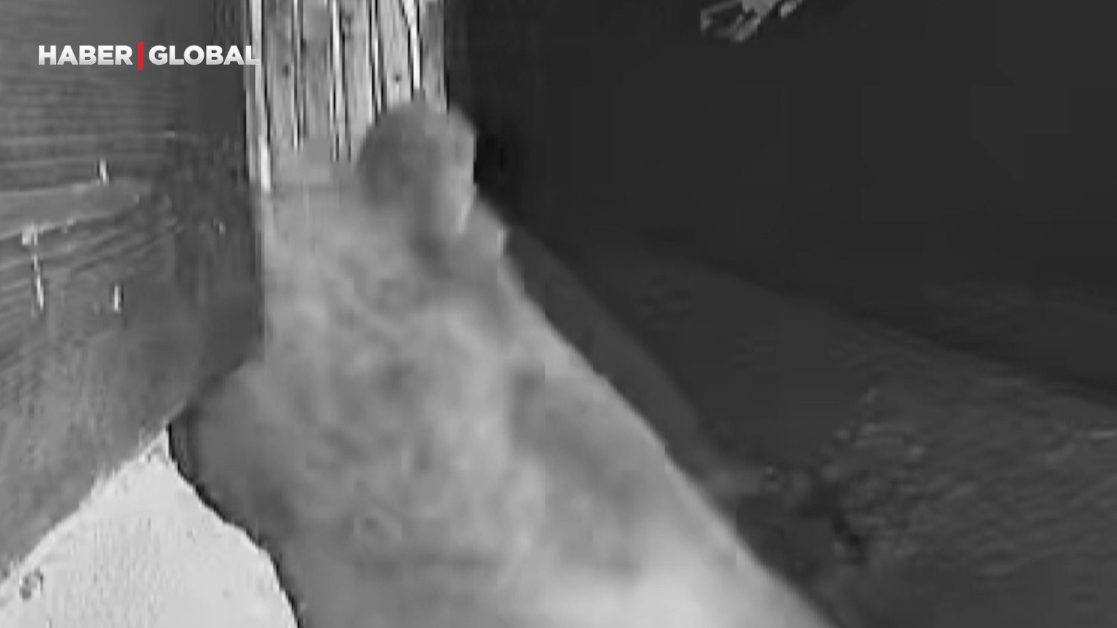 Kış uykusuna yatamayan ayılar bakın ne yaptı