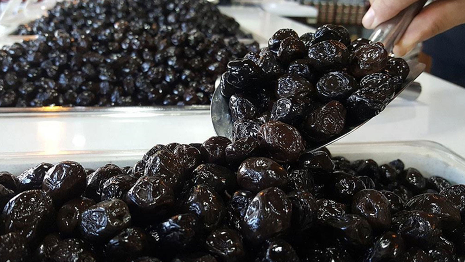 Marmarabirlik'ten ortaklarına 1 milyar 200 milyon liralık destek