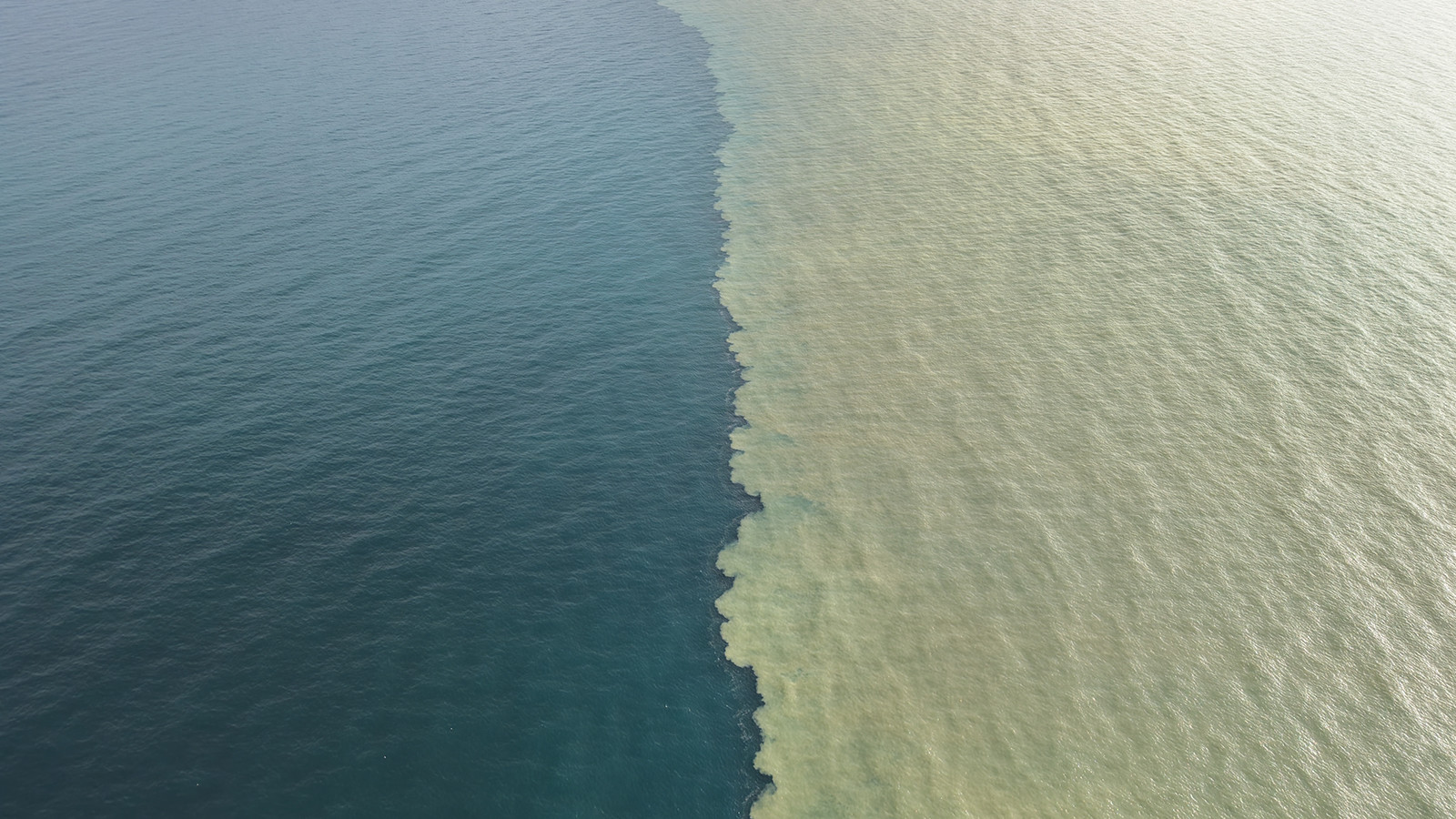 Samsun'da yağış sonrası ilginç manzara: Deniz ikiye bölündü