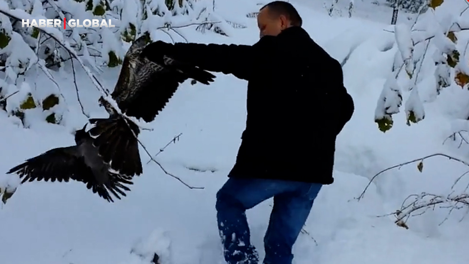 Giresun’da kargayı atmacanın pençesinden vatandaşlar kurtardı
