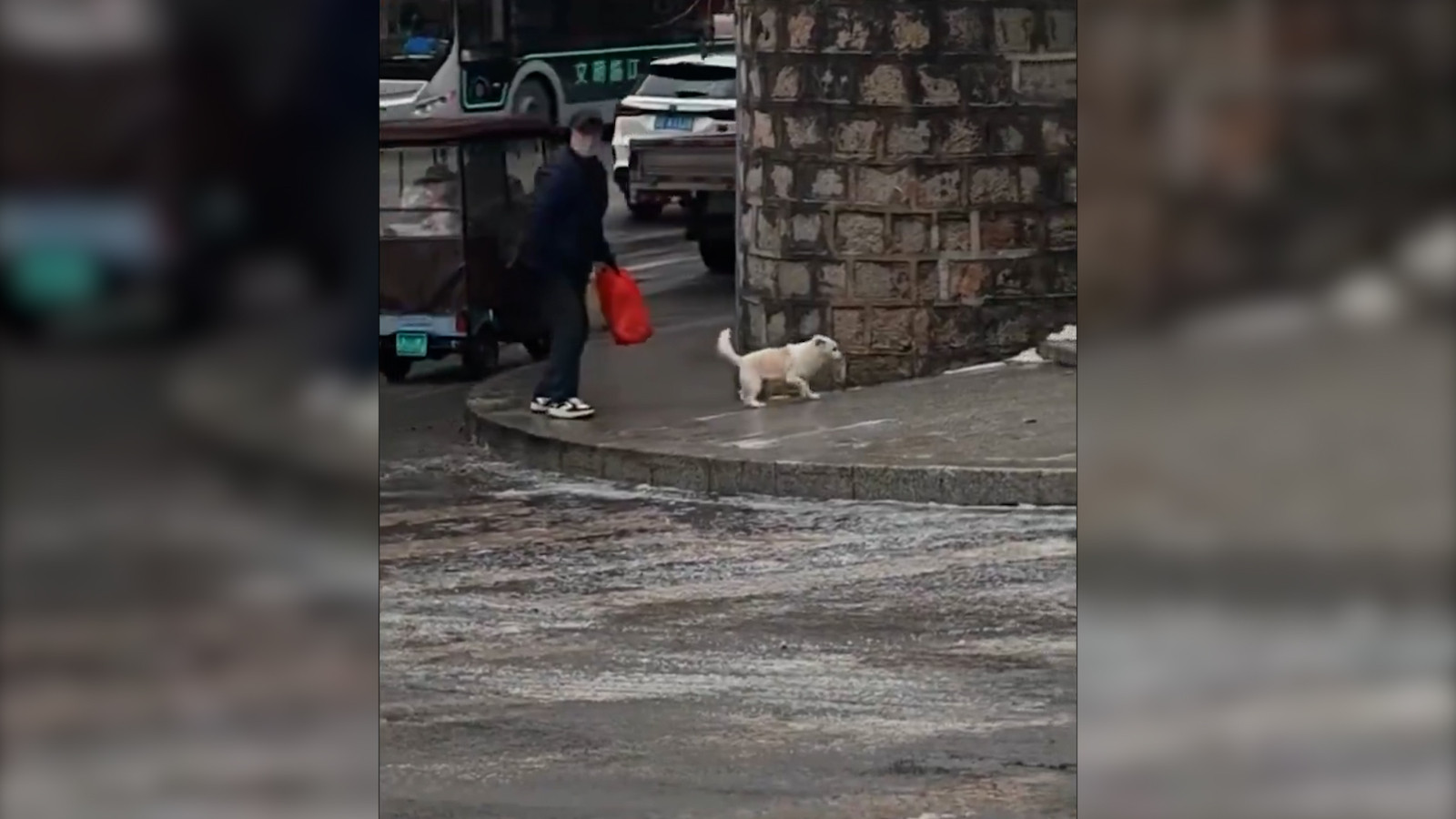İyi kalpli adamdan buz tutan yokuşu çıkamayan köpeğe yürek ısıtan yardım