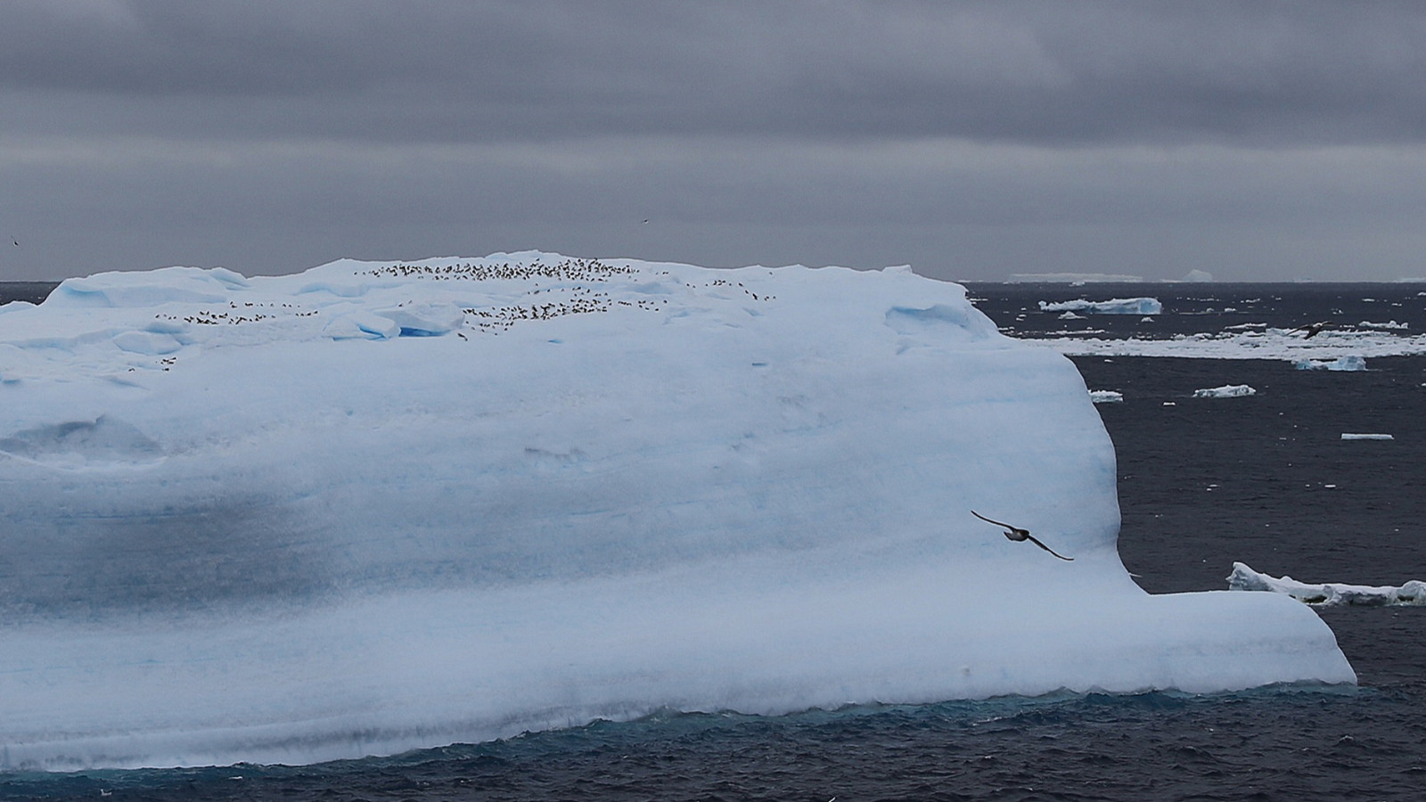 Antarktika’nın altında bilim insanlarının açıklayamadığı keşif: “Anlamadığımız bir şey görüyoruz”