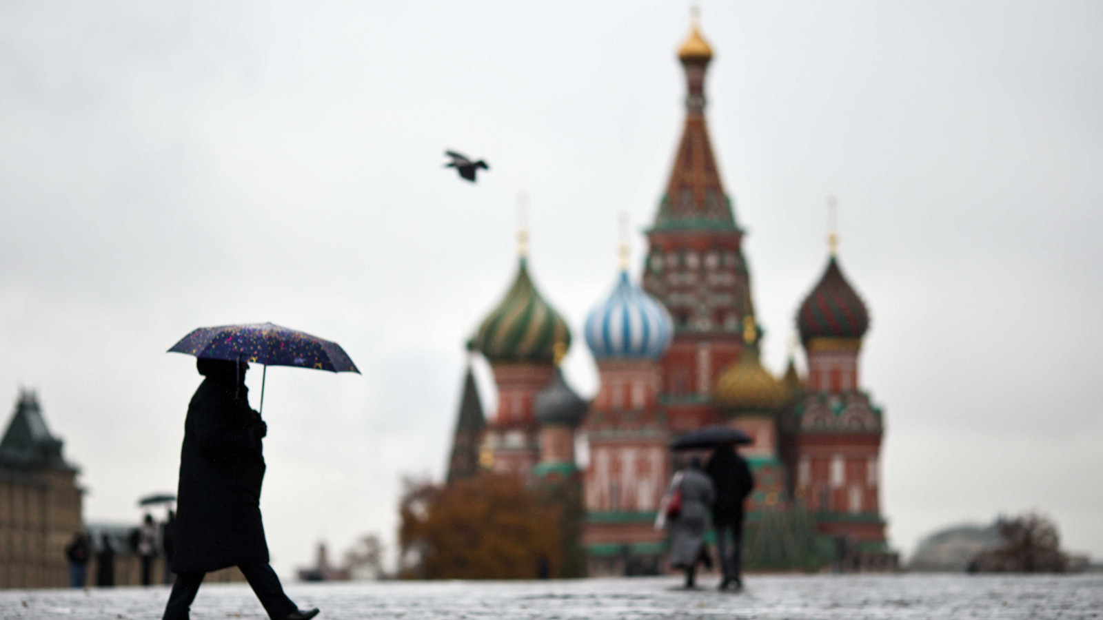 Kızıl Meydan'da kendini yakmaya çalışan adam Rusya'nın içine düştüğü büyük krizi ortaya çıkardı