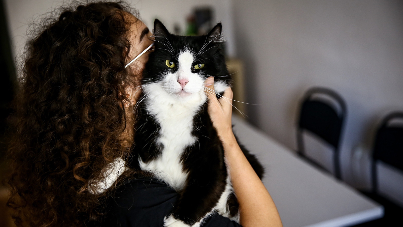 Evcil hayvan sahiplerine uyarı: Son gün 31 Aralık