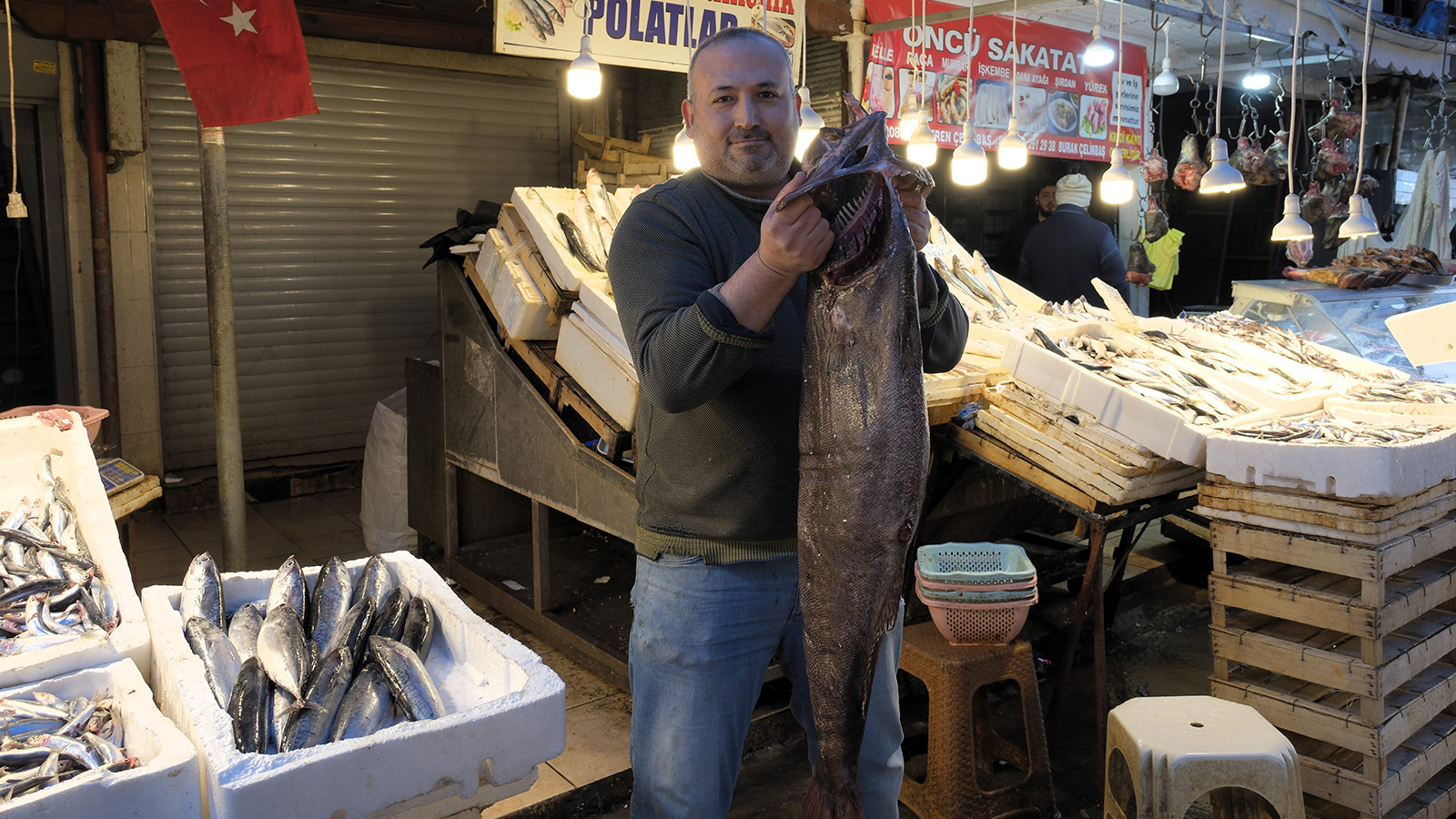 Mersin açıklarında yakalandı; 1,5 metre uzunluğunda