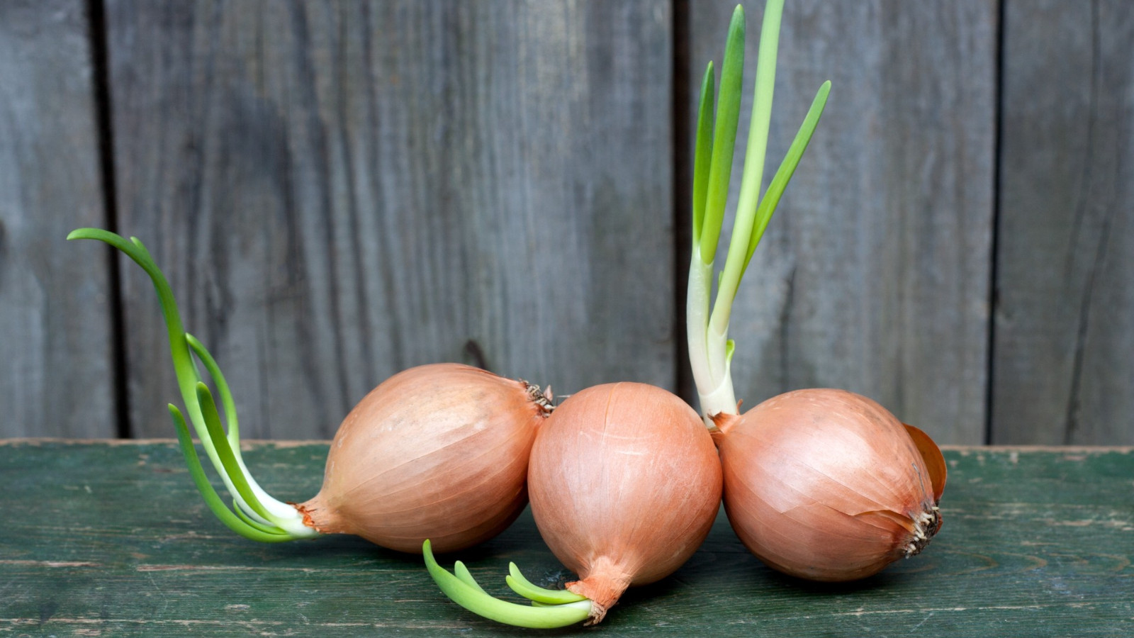 Poşet poşet alıp çöpe atma devri bitiyor! Soğanları böyle saklayınca bir tanesi bile filizlenmiyormuş