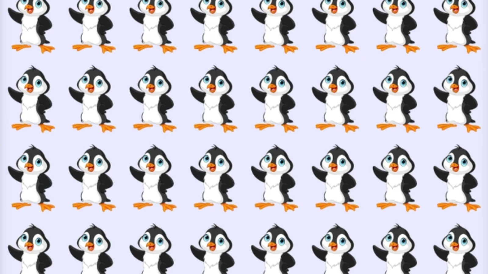 Bakıcısı gelse ayırt edemez! Resimdeki farklı pengueni 6 saniyede bulmak için en az 130 IQ gerekiyor