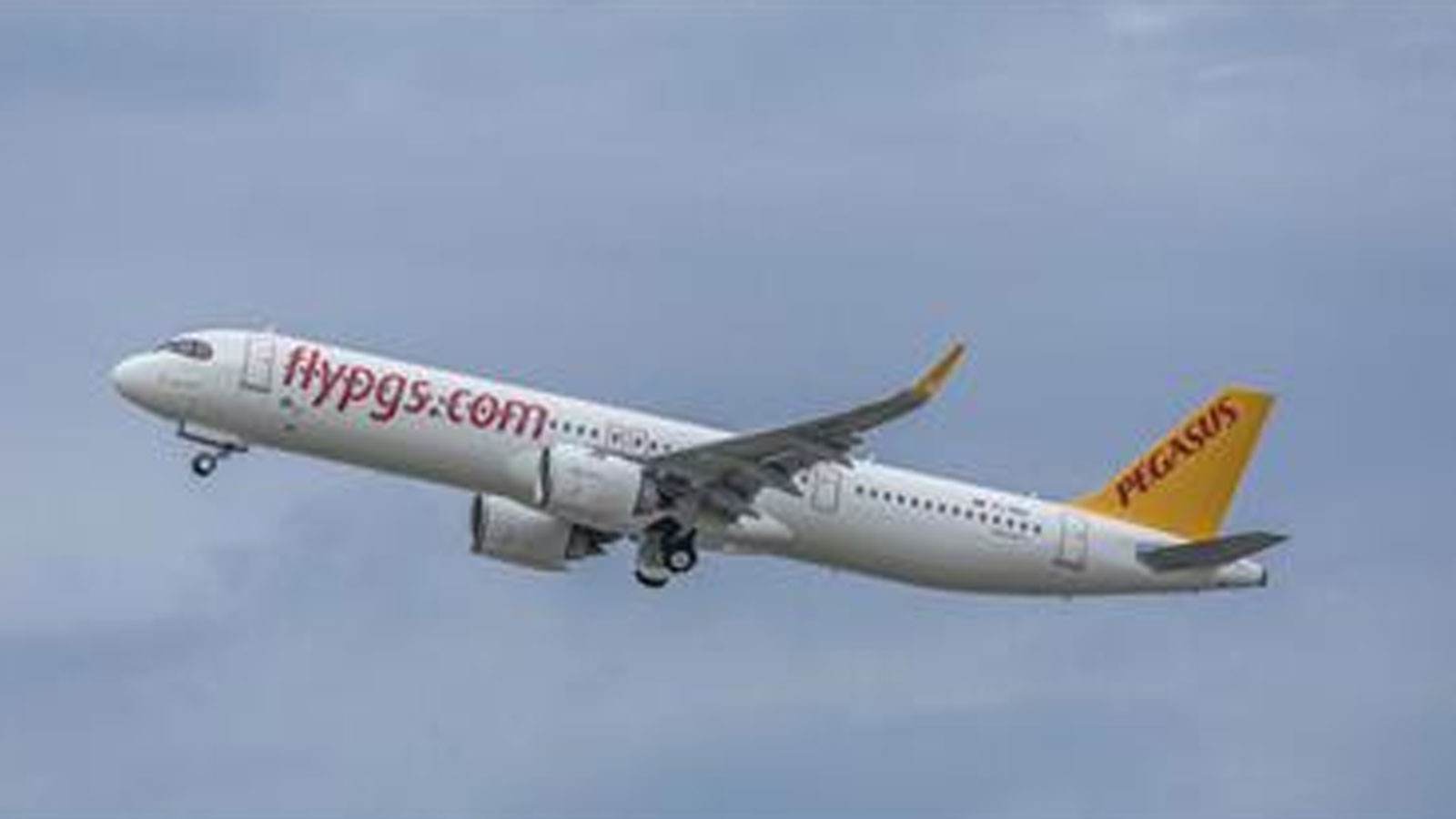 Esas Holding'den Pegasus adımı!